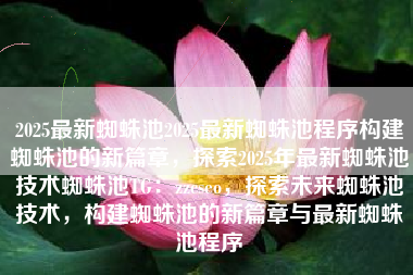 2025最新蜘蛛池2025最新蜘蛛池程序构建蜘蛛池的新篇章，探索2025年最新蜘蛛池技术蜘蛛池TG：zzcseo，探索未来蜘蛛池技术，构建蜘蛛池的新篇章与最新蜘蛛池程序