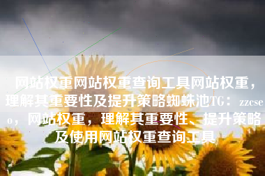网站权重网站权重查询工具网站权重，理解其重要性及提升策略蜘蛛池TG：zzcseo，网站权重，理解其重要性、提升策略及使用网站权重查询工具