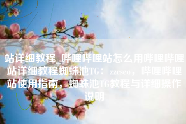 站详细教程_哔哩哔哩站怎么用哔哩哔哩站详细教程蜘蛛池TG：zzcseo，哔哩哔哩站使用指南，蜘蛛池TG教程与详细操作说明