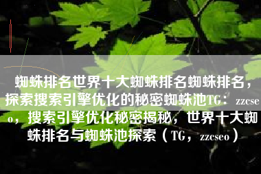 蜘蛛排名世界十大蜘蛛排名蜘蛛排名，探索搜索引擎优化的秘密蜘蛛池TG：zzcseo，搜索引擎优化秘密揭秘，世界十大蜘蛛排名与蜘蛛池探索（TG，zzcseo）