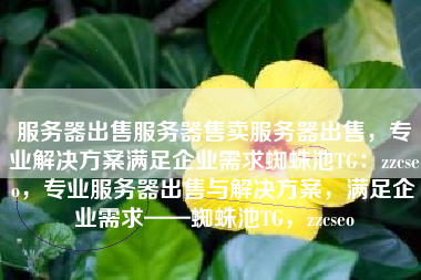 服务器出售服务器售卖服务器出售，专业解决方案满足企业需求蜘蛛池TG：zzcseo，专业服务器出售与解决方案，满足企业需求——蜘蛛池TG，zzcseo