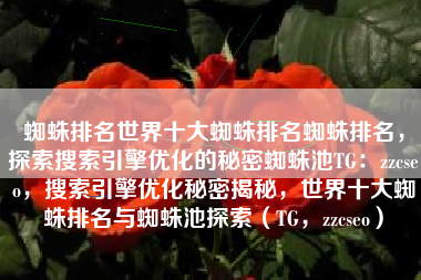 蜘蛛排名世界十大蜘蛛排名蜘蛛排名，探索搜索引擎优化的秘密蜘蛛池TG：zzcseo，搜索引擎优化秘密揭秘，世界十大蜘蛛排名与蜘蛛池探索（TG，zzcseo）