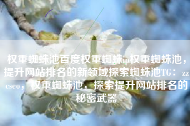 权重蜘蛛池百度权重蜘蛛ip权重蜘蛛池，提升网站排名的新领域探索蜘蛛池TG：zzcseo，权重蜘蛛池，探索提升网站排名的秘密武器