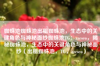 蜘蛛池蜘蛛池出租蜘蛛池，生态中的关键角色与神秘面纱蜘蛛池TG：zzcseo，揭秘蜘蛛池，生态中的关键角色与神秘面纱（出租蜘蛛池，TG，zzcseo）