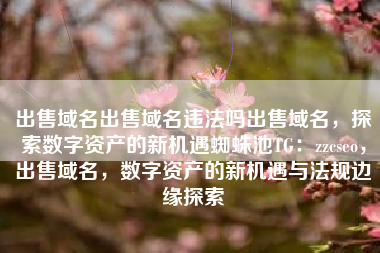 出售域名出售域名违法吗出售域名，探索数字资产的新机遇蜘蛛池TG：zzcseo，出售域名，数字资产的新机遇与法规边缘探索