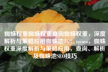 蜘蛛权重蜘蛛权重查询蜘蛛权重，深度解析与策略应用蜘蛛池TG：zzcseo，蜘蛛权重深度解析与策略应用，查询、解析及蜘蛛池SEO技巧