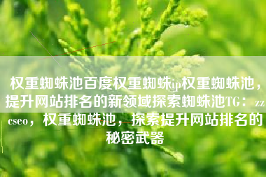 权重蜘蛛池百度权重蜘蛛ip权重蜘蛛池，提升网站排名的新领域探索蜘蛛池TG：zzcseo，权重蜘蛛池，探索提升网站排名的秘密武器