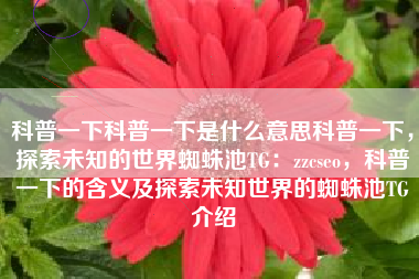 科普一下科普一下是什么意思科普一下，探索未知的世界蜘蛛池TG：zzcseo，科普一下的含义及探索未知世界的蜘蛛池TG介绍
