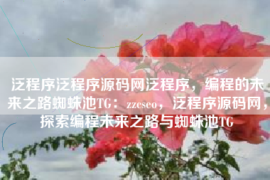 泛程序泛程序源码网泛程序，编程的未来之路蜘蛛池TG：zzcseo，泛程序源码网，探索编程未来之路与蜘蛛池TG