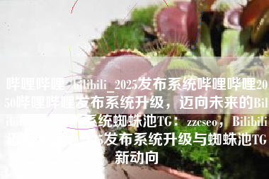 哔哩哔哩_bilibili_2025发布系统哔哩哔哩2050哔哩哔哩发布系统升级，迈向未来的Bilibili 2025发布系统蜘蛛池TG：zzcseo，Bilibili迈向未来，2025发布系统升级与蜘蛛池TG新动向
