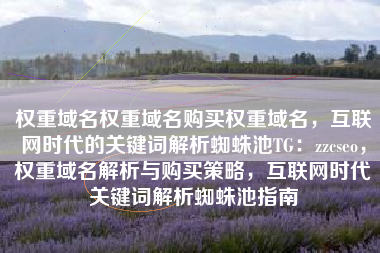 权重域名权重域名购买权重域名，互联网时代的关键词解析蜘蛛池TG：zzcseo，权重域名解析与购买策略，互联网时代关键词解析蜘蛛池指南