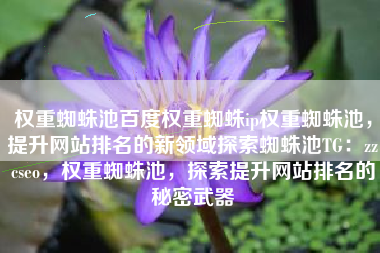 权重蜘蛛池百度权重蜘蛛ip权重蜘蛛池，提升网站排名的新领域探索蜘蛛池TG：zzcseo，权重蜘蛛池，探索提升网站排名的秘密武器
