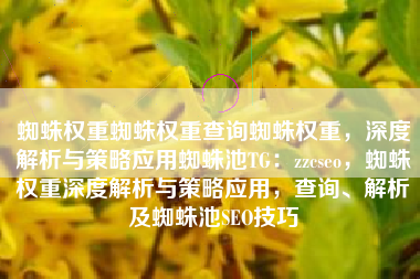 蜘蛛权重蜘蛛权重查询蜘蛛权重，深度解析与策略应用蜘蛛池TG：zzcseo，蜘蛛权重深度解析与策略应用，查询、解析及蜘蛛池SEO技巧
