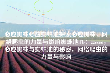 必应蜘蛛必应蜘蛛池探索必应蜘蛛，网络爬虫的力量与影响蜘蛛池TG：zzcseo，必应蜘蛛与蜘蛛池的秘密，网络爬虫的力量与影响