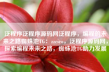 泛程序泛程序源码网泛程序，编程的未来之路蜘蛛池TG：zzcseo，泛程序源码网，探索编程未来之路，蜘蛛池TG助力发展