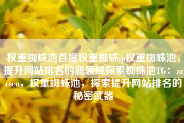 权重蜘蛛池百度权重蜘蛛ip权重蜘蛛池，提升网站排名的新领域探索蜘蛛池TG：zzcseo，权重蜘蛛池，探索提升网站排名的秘密武器