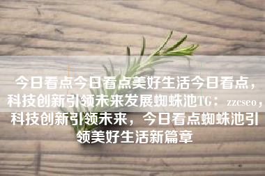 今日看点今日看点美好生活今日看点，科技创新引领未来发展蜘蛛池TG：zzcseo，科技创新引领未来，今日看点蜘蛛池引领美好生活新篇章