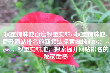 权重蜘蛛池百度权重蜘蛛ip权重蜘蛛池，提升网站排名的新领域探索蜘蛛池TG：zzcseo，权重蜘蛛池，探索提升网站排名的秘密武器