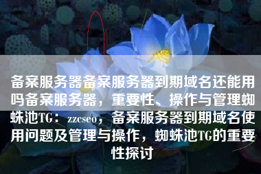 备案服务器备案服务器到期域名还能用吗备案服务器，重要性、操作与管理蜘蛛池TG：zzcseo，备案服务器到期域名使用问题及管理与操作，蜘蛛池TG的重要性探讨