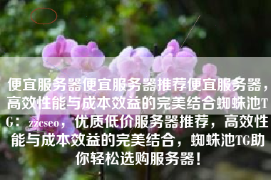 便宜服务器便宜服务器推荐便宜服务器，高效性能与成本效益的完美结合蜘蛛池TG：zzcseo，优质低价服务器推荐，高效性能与成本效益的完美结合，蜘蛛池TG助你轻松选购服务器！
