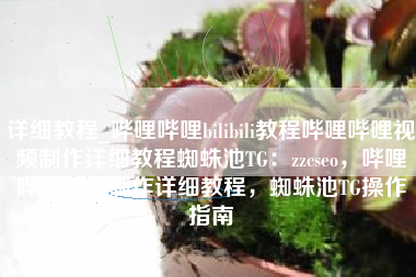 详细教程_哔哩哔哩bilibili教程哔哩哔哩视频制作详细教程蜘蛛池TG：zzcseo，哔哩哔哩视频制作详细教程，蜘蛛池TG操作指南