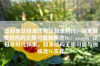 泛目录泛目录代发泛目录时代，探索目录结构的无限可能蜘蛛池TG：zzcseo，泛目录时代探索，目录结构无限可能与蜘蛛池TG实践