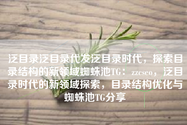 泛目录泛目录代发泛目录时代，探索目录结构的新领域蜘蛛池TG：zzcseo，泛目录时代的新领域探索，目录结构优化与蜘蛛池TG分享