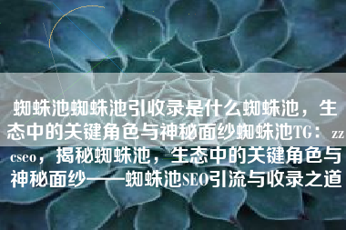 蜘蛛池蜘蛛池引收录是什么蜘蛛池，生态中的关键角色与神秘面纱蜘蛛池TG：zzcseo，揭秘蜘蛛池，生态中的关键角色与神秘面纱——蜘蛛池SEO引流与收录之道
