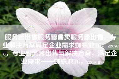 服务器出售服务器售卖服务器出售，专业解决方案满足企业需求蜘蛛池TG：zzcseo，专业服务器出售与解决方案，满足企业需求——蜘蛛池TG，zzcseo