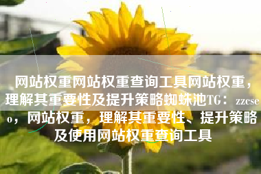 网站权重网站权重查询工具网站权重，理解其重要性及提升策略蜘蛛池TG：zzcseo，网站权重，理解其重要性、提升策略及使用网站权重查询工具