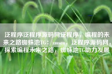 泛程序泛程序源码网泛程序，编程的未来之路蜘蛛池TG：zzcseo，泛程序源码网，探索编程未来之路，蜘蛛池TG助力发展