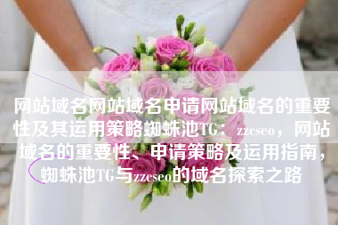 网站域名网站域名申请网站域名的重要性及其运用策略蜘蛛池TG：zzcseo，网站域名的重要性、申请策略及运用指南，蜘蛛池TG与zzcseo的域名探索之路