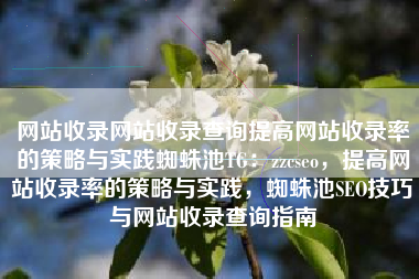 网站收录网站收录查询提高网站收录率的策略与实践蜘蛛池TG：zzcseo，提高网站收录率的策略与实践，蜘蛛池SEO技巧与网站收录查询指南