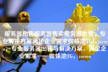 服务器出售服务器售卖服务器出售，专业解决方案满足企业需求蜘蛛池TG：zzcseo，专业服务器出售与解决方案，满足企业需求——蜘蛛池TG，zzcseo