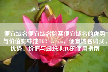 便宜域名便宜域名购买便宜域名的优势与价值蜘蛛池TG：zzcseo，便宜域名购买，优势、价值与蜘蛛池TG的使用指南