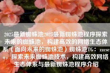 2025最新蜘蛛池2025最新蜘蛛池程序探索未来的蜘蛛池，构建高效的网络生态体系（面向未来的蜘蛛池）蜘蛛池TG：zzcseo，探索未来蜘蛛池技术，构建高效网络生态体系与最新蜘蛛池程序介绍