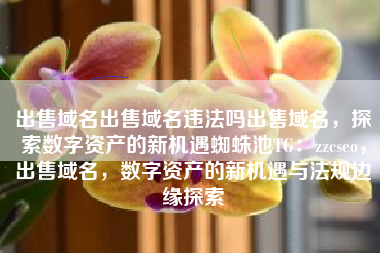 出售域名出售域名违法吗出售域名，探索数字资产的新机遇蜘蛛池TG：zzcseo，出售域名，数字资产的新机遇与法规边缘探索