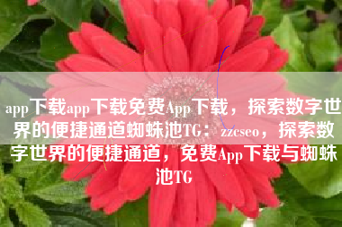 app下载app下载免费App下载，探索数字世界的便捷通道蜘蛛池TG：zzcseo，探索数字世界的便捷通道，免费App下载与蜘蛛池TG