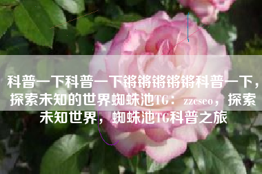 科普一下科普一下锵锵锵锵锵科普一下，探索未知的世界蜘蛛池TG：zzcseo，探索未知世界，蜘蛛池TG科普之旅