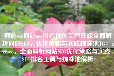 网站seo网站seo排名优化工具在线全面解析网站SEO，优化策略与实践蜘蛛池TG：zzcseo，全面解析网站SEO优化策略与实践，SEO排名工具与蜘蛛池解析