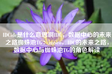IDCidc是什么意思啊IDC，数据中心的未来之路蜘蛛池TG：zzcseo，IDC的未来之路，数据中心与蜘蛛池TG的角色解读