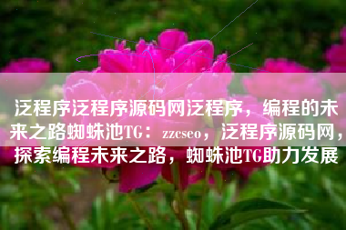 泛程序泛程序源码网泛程序，编程的未来之路蜘蛛池TG：zzcseo，泛程序源码网，探索编程未来之路，蜘蛛池TG助力发展