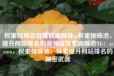 权重蜘蛛池百度权重蜘蛛ip权重蜘蛛池，提升网站排名的新领域探索蜘蛛池TG：zzcseo，权重蜘蛛池，探索提升网站排名的秘密武器