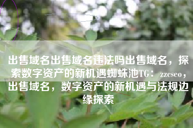 出售域名出售域名违法吗出售域名，探索数字资产的新机遇蜘蛛池TG：zzcseo，出售域名，数字资产的新机遇与法规边缘探索