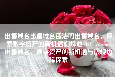 出售域名出售域名违法吗出售域名，探索数字资产的新机遇蜘蛛池TG：zzcseo，出售域名，数字资产的新机遇与法规边缘探索