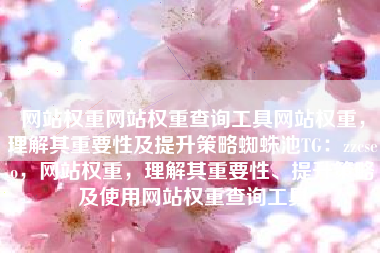 网站权重网站权重查询工具网站权重，理解其重要性及提升策略蜘蛛池TG：zzcseo，网站权重，理解其重要性、提升策略及使用网站权重查询工具