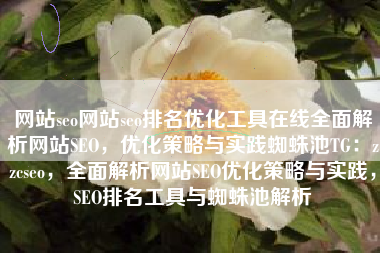 网站seo网站seo排名优化工具在线全面解析网站SEO，优化策略与实践蜘蛛池TG：zzcseo，全面解析网站SEO优化策略与实践，SEO排名工具与蜘蛛池解析