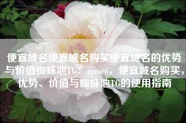 便宜域名便宜域名购买便宜域名的优势与价值蜘蛛池TG：zzcseo，便宜域名购买，优势、价值与蜘蛛池TG的使用指南