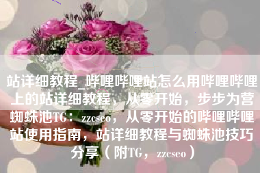 站详细教程_哔哩哔哩站怎么用哔哩哔哩上的站详细教程，从零开始，步步为营蜘蛛池TG：zzcseo，从零开始的哔哩哔哩站使用指南，站详细教程与蜘蛛池技巧分享（附TG，zzcseo）