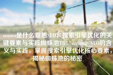 seoseo是什么意思SEO，搜索引擎优化的关键要素与实践蜘蛛池TG：zzcseo，SEO的含义与实践，掌握搜索引擎优化核心要素，揭秘蜘蛛池的秘密